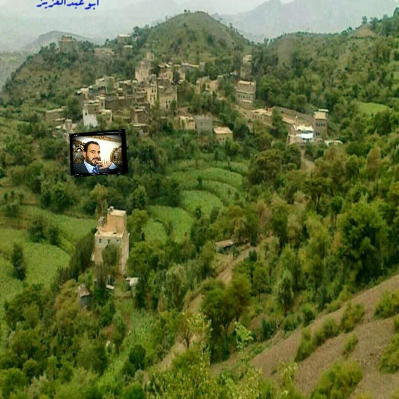 ابو عبدالعزيز