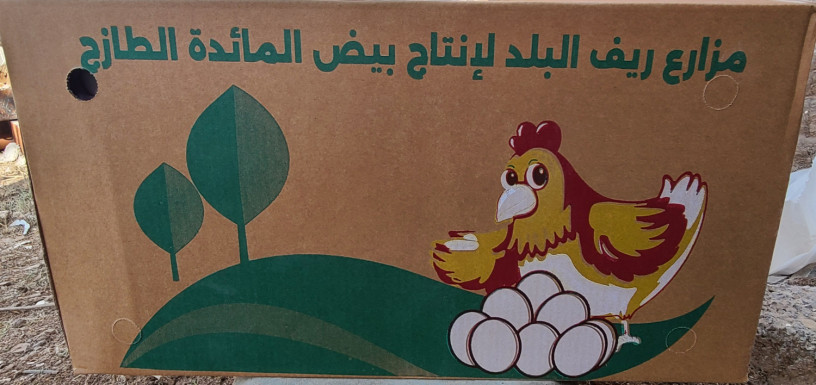 سعر جملة)كرتون بيض)
