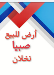 ارض صبيا نخلان للبيع صبياء