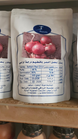 بذور بصل بافطيم